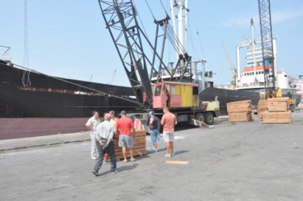 ITM continuă ancheta în cazul muncitorului strivit de o tonă de cherestea